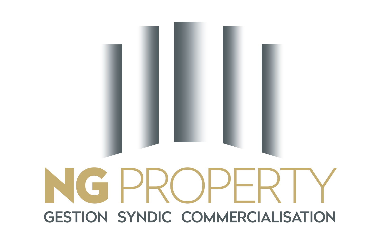 NG PROPERTY – NG PARTNERS